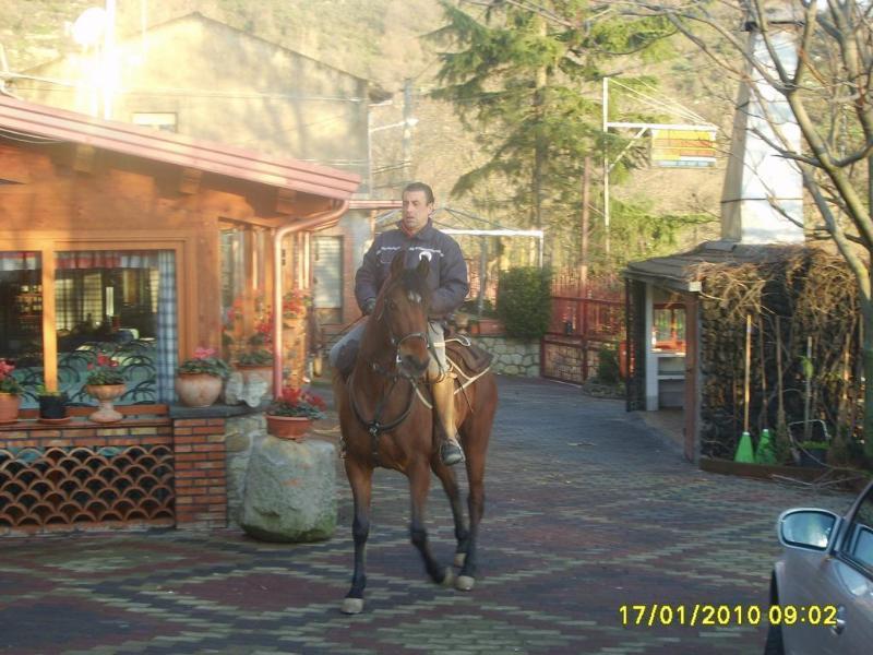 Agri-Hotel Da Marianna Resort & Spa Santa Domenica Vittoria Екстериор снимка